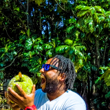 breadfruit-3