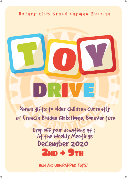 Rotary Toy drive